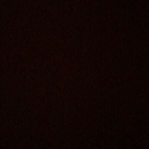 Meet your Posher, Caitlyn